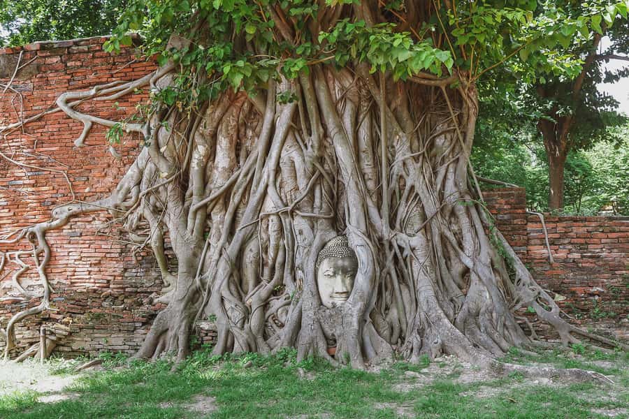 From Bangkok: Ayutthaya Day Tour by Bus with River Cruise - Why this bus-and-boat plan works
