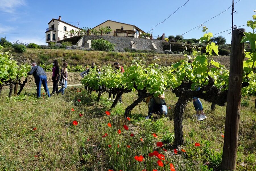 From Barcelona: E-Bike and Sailing Tour with Wine Tastings - Key points to know before booking