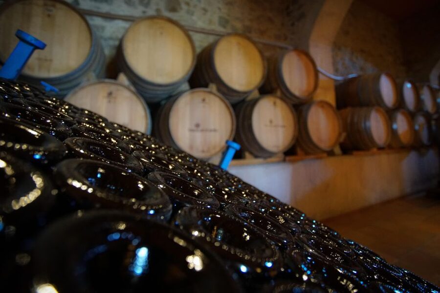 From Barcelona: E-Bike and Sailing Tour with Wine Tastings - Practical planning for the day