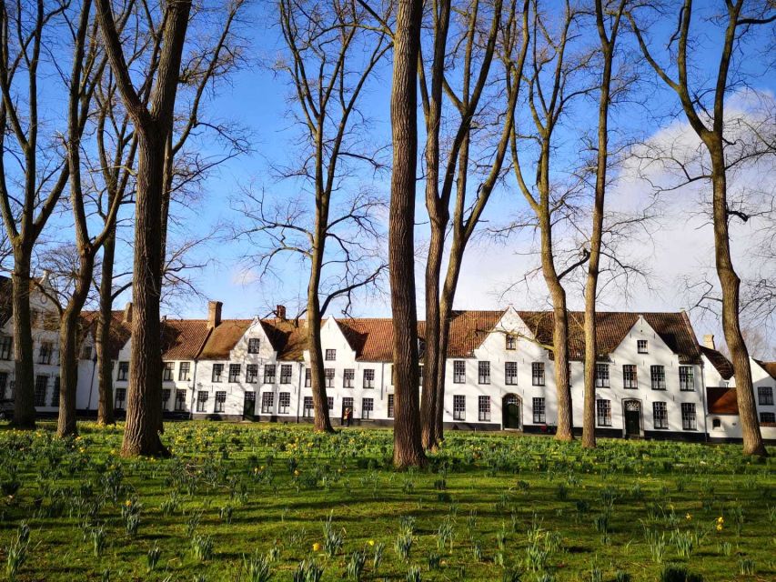 From Brussels: Bruges Day Trip with Boat Tour Option (ES) - Is the optional canal boat ride worth it?