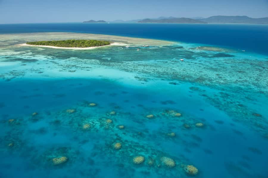 From Cairns: Full-Day Green Island Cruise - A calm route from Cairns to Green Island