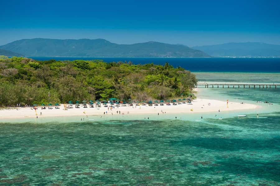 From Cairns: Full-Day Green Island Cruise - Seeing the reef without getting wet