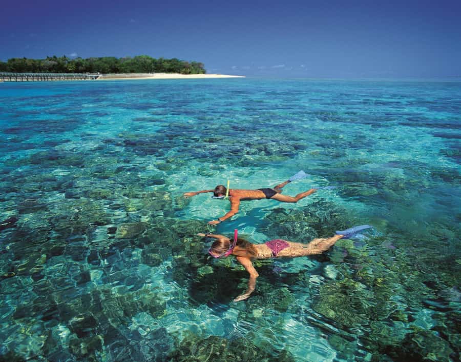From Cairns: Full-Day Green Island Cruise - Green Island National Park and its easy beach time