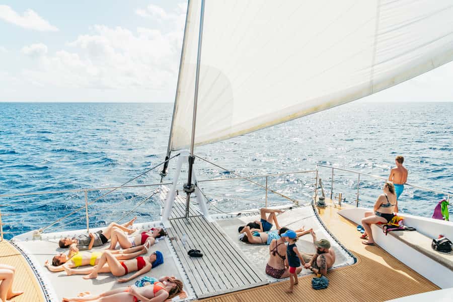 From Cairns: Great Barrier Reef Cruise by Premium Catamaran - What makes this reef cruise worth considering