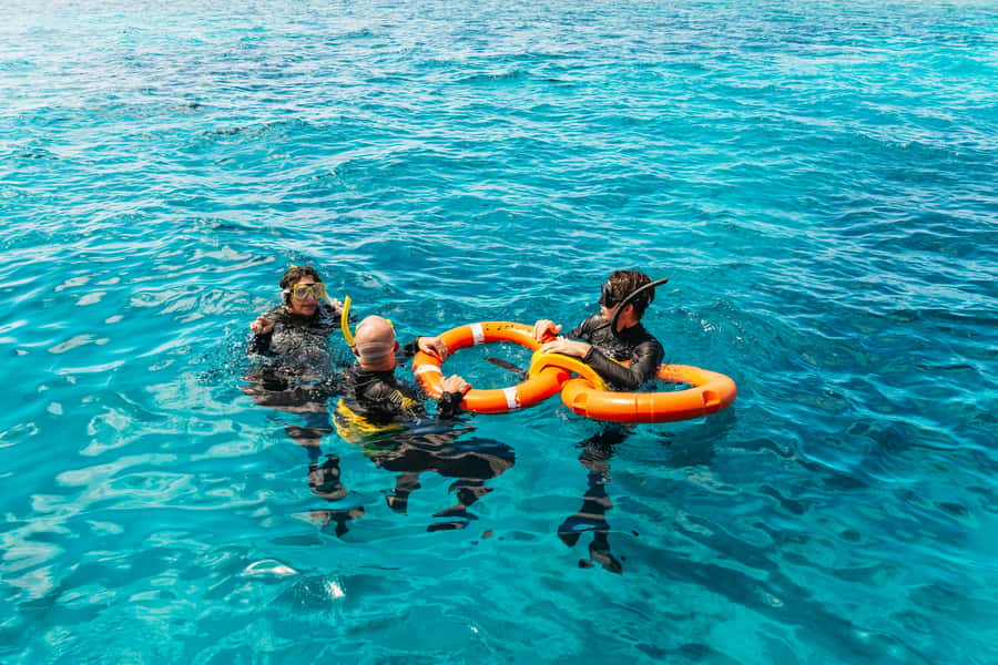 From Cairns: Great Barrier Reef Cruise by Premium Catamaran - The first two-hour water session