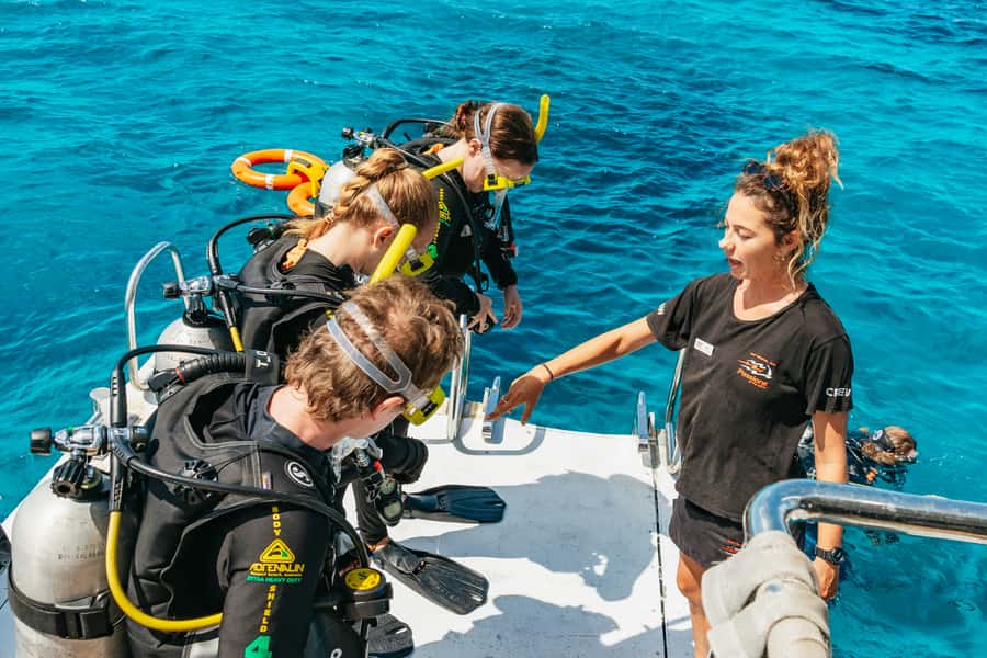 From Cairns: Great Barrier Reef Cruise by Premium Catamaran - The second reef stop gives the day its real value