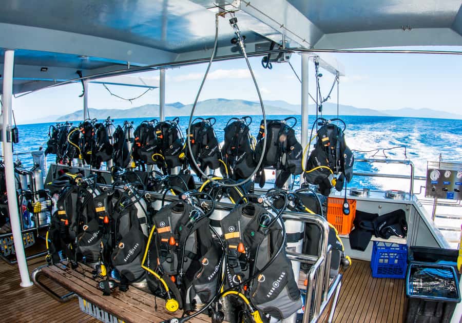 From Cairns: Great Barrier Reef Cruise by Premium Catamaran - Returning under sail with an eco talk