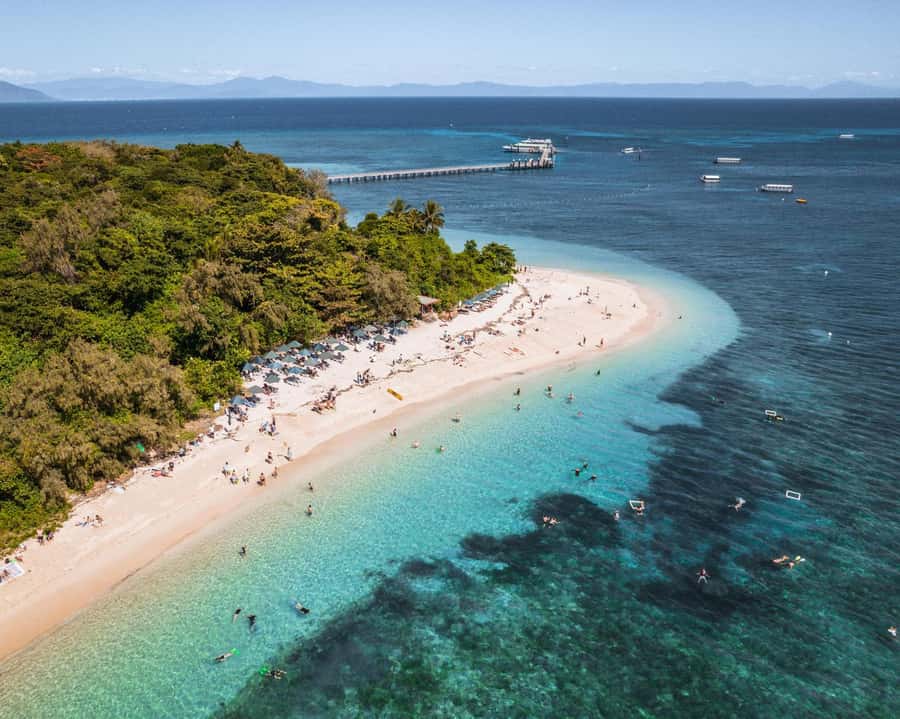 From Cairns: Green Island Half-Day Morning Cruise - The Reef Rocket ride from Cairns