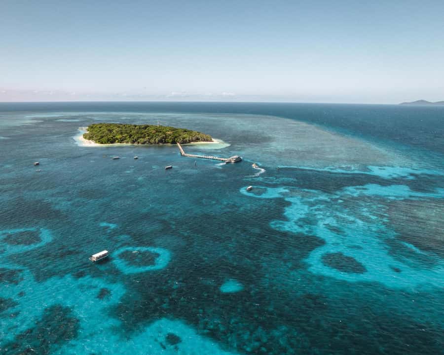 From Cairns: Half-Day Afternoon Cruise to Green Island - Key points to know before you book