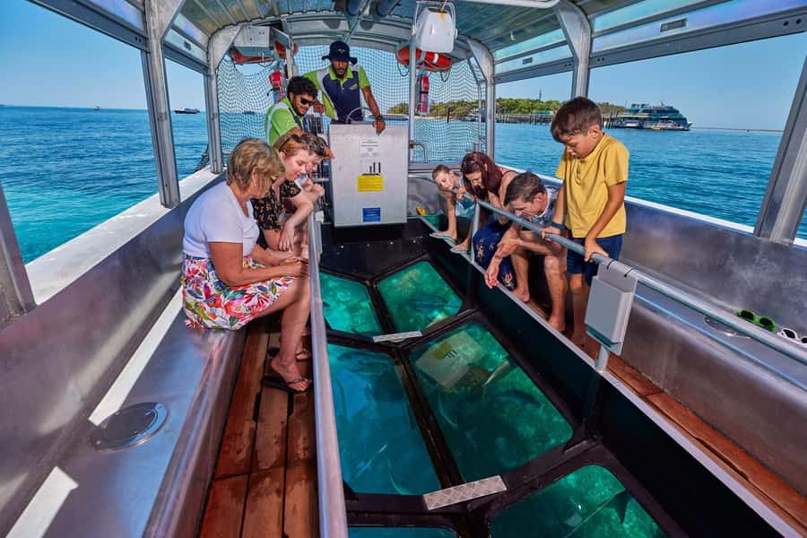 From Cairns: Half-Day Afternoon Cruise to Green Island - Beaches, swimming, and the forest walk