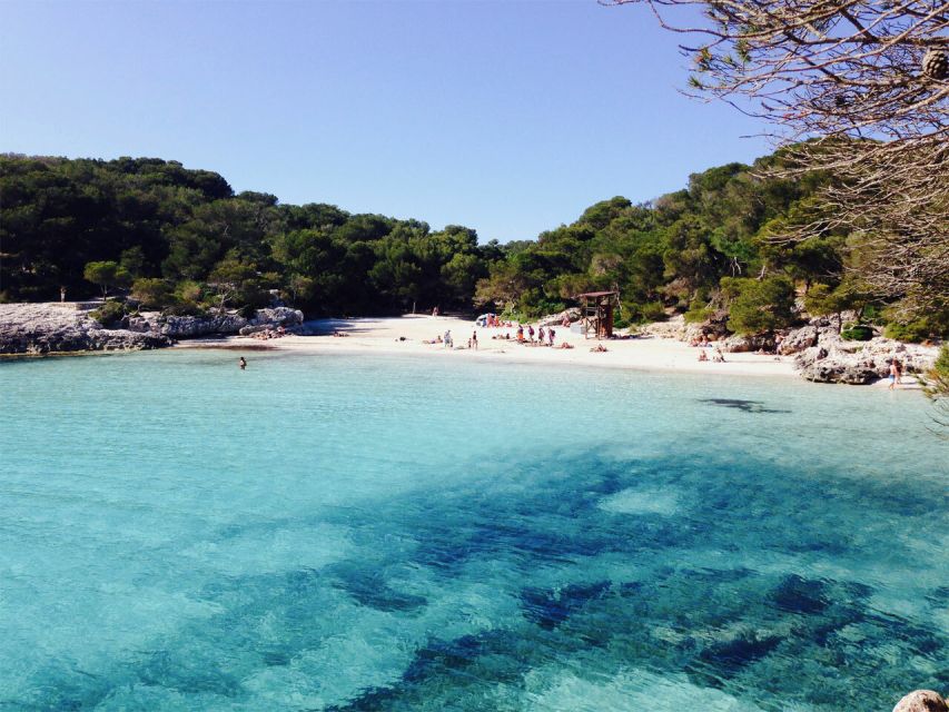 From Cala Galdana: 2-Hour Glass-Bottom Boat Trip - Key details at a glance