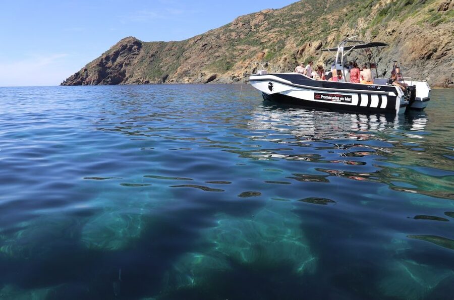 From Calvi: 2-Hour Sunset Cruise to Revellata Peninsula - Key points to know before you go