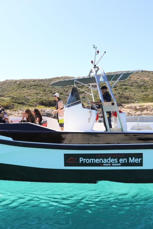 From Calvi: 2-Hour Sunset Cruise to Revellata Peninsula - Reaching the wild Revellata Peninsula