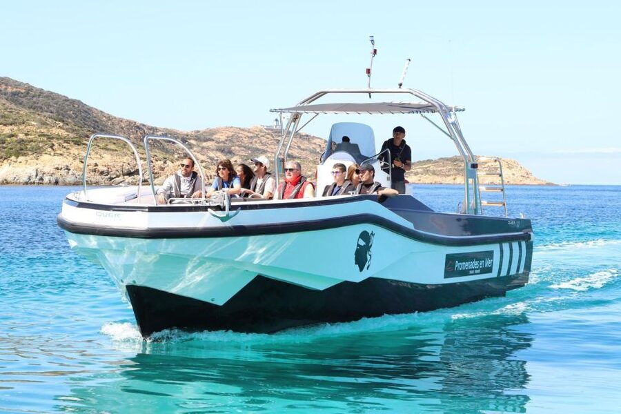 From Calvi: 2-Hour Sunset Cruise to Revellata Peninsula - Sunset, music, and a Corsican aperitif