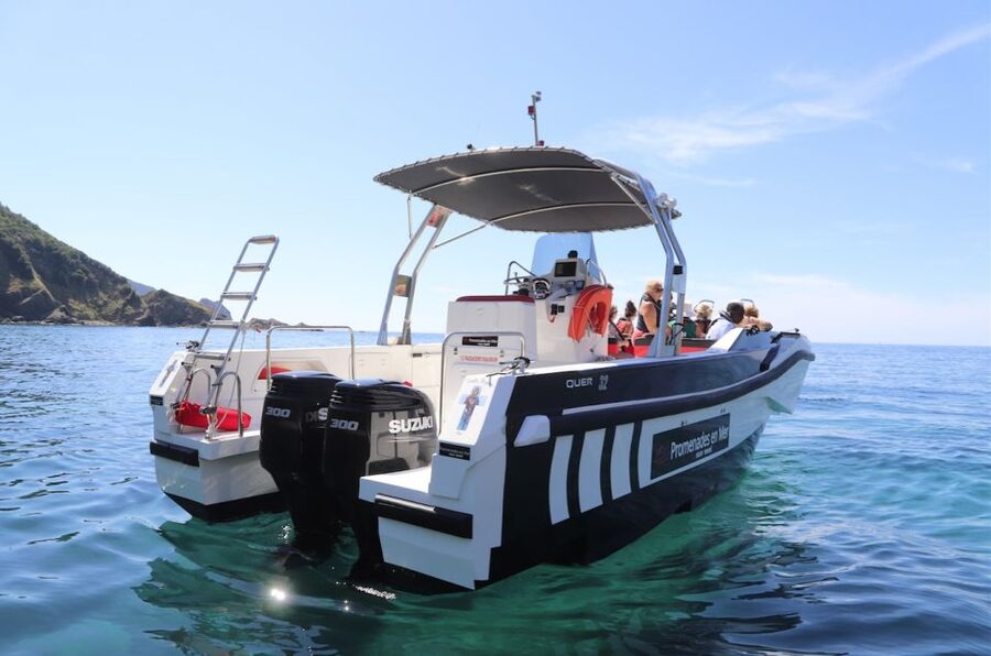 From Calvi: 2-Hour Sunset Cruise to Revellata Peninsula - What the $59 price really covers