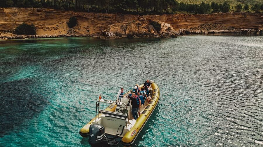 From Can Picafort: Dolphin Watching and Cave Boat Trip - Key points to know before you book