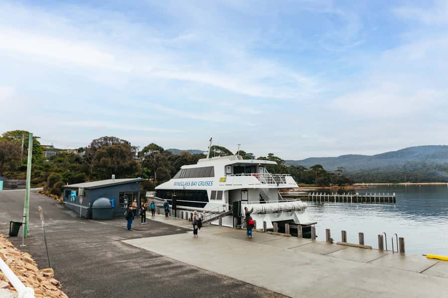 From Coles Bay: Wineglass Bay Cruise with Lunch - Wildlife watching along Freycinet’s coast