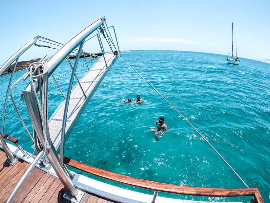 From Corralejo: Lobos Island Boat and Snorkel Activity - Key points to know before you go