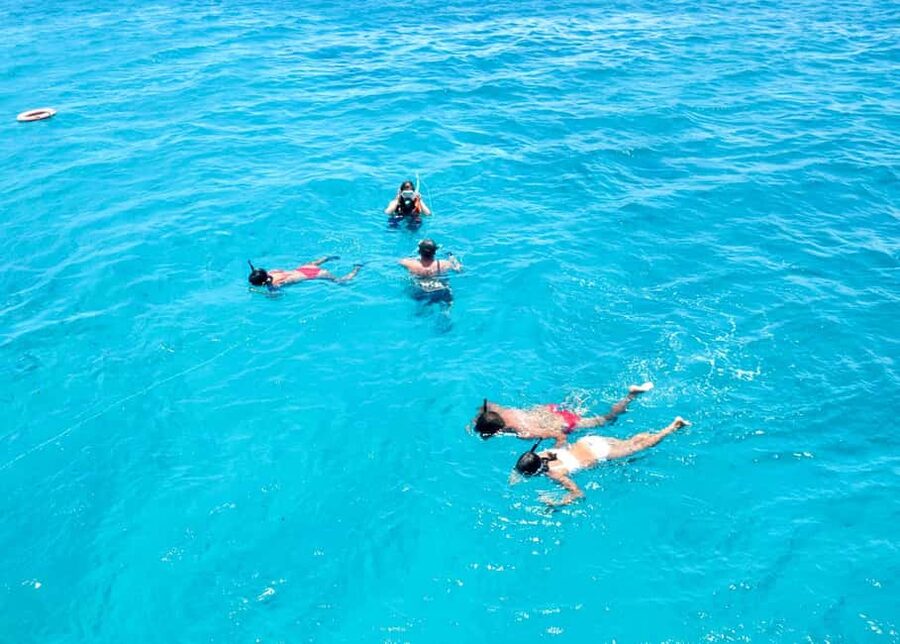 From Corralejo: Lobos Island Boat and Snorkel Activity - The ferry schedule shapes your day