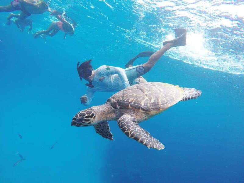 From Cozumel: 3 Reefs Boat Tour with Drinks and Snorkeling - Getting to Marina Asipona without losing your morning