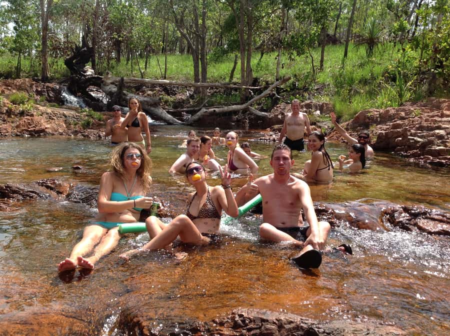From Darwin: Litchfield Park Tour & Jumping Crocodile Cruise - Crocodiles First on the Adelaide River