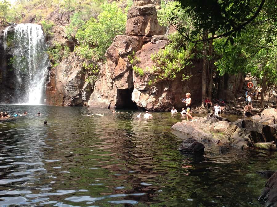 From Darwin: Litchfield Park Tour & Jumping Crocodile Cruise - A Bush Picnic That Keeps the Day Moving