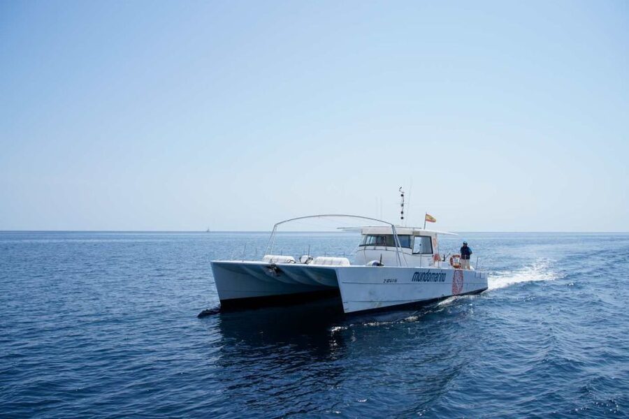 From Denia: Boat Trip to Tallada Cave with Optional Swim - Practical tips for a smoother ride