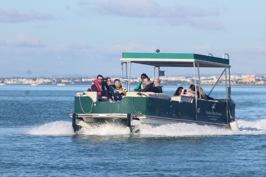 From Faro: 4 Stops, 3 Islands in Ria Formosa Catamaran Tour - Ilha Deserta: your first swim at Portugal’s southern edge