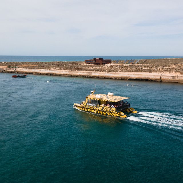 From Faro: Catamaran Boat Trip to Deserta Island with Stop - Key points to know before booking