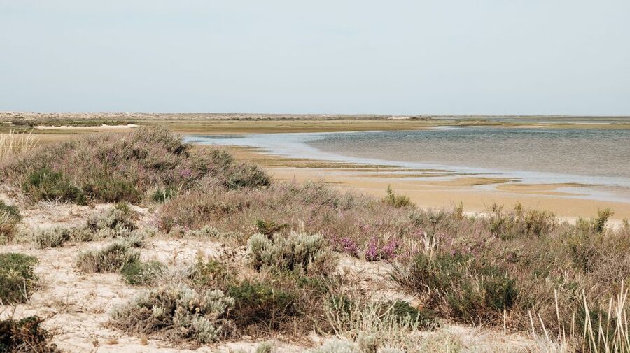 From Faro: Catamaran Boat Trip to Deserta Island with Stop - How the timing works