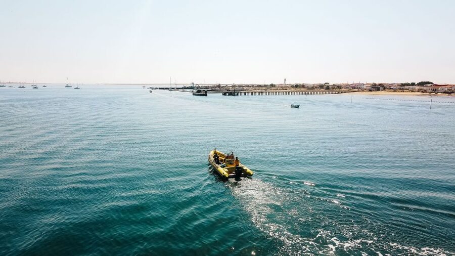 From Faro: Ria Formosa Hop-On Hop-Off 3 Islands Cruise - Key points to know before you go