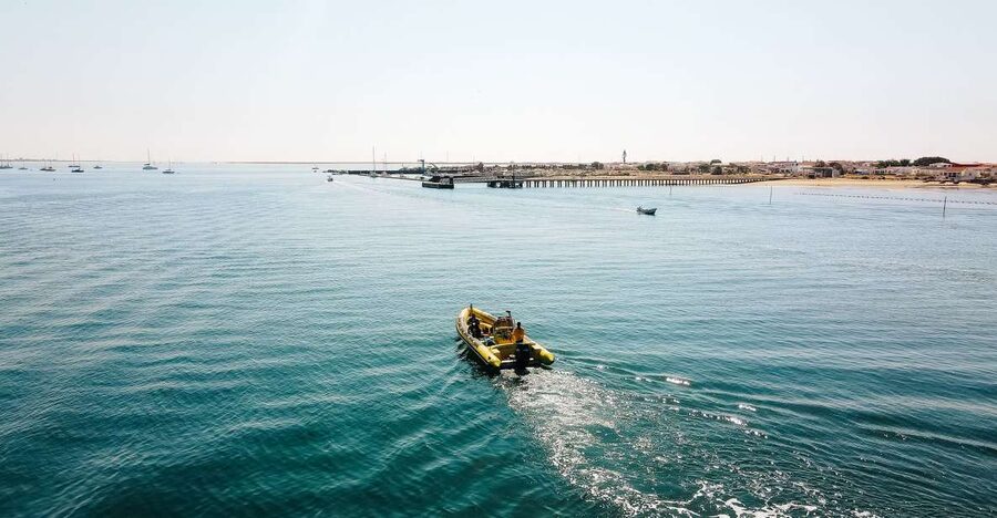 From Faro: Ria Formosa Hop-On Hop-Off 3 Islands Cruise - Farol combines a lighthouse with an easy beach break