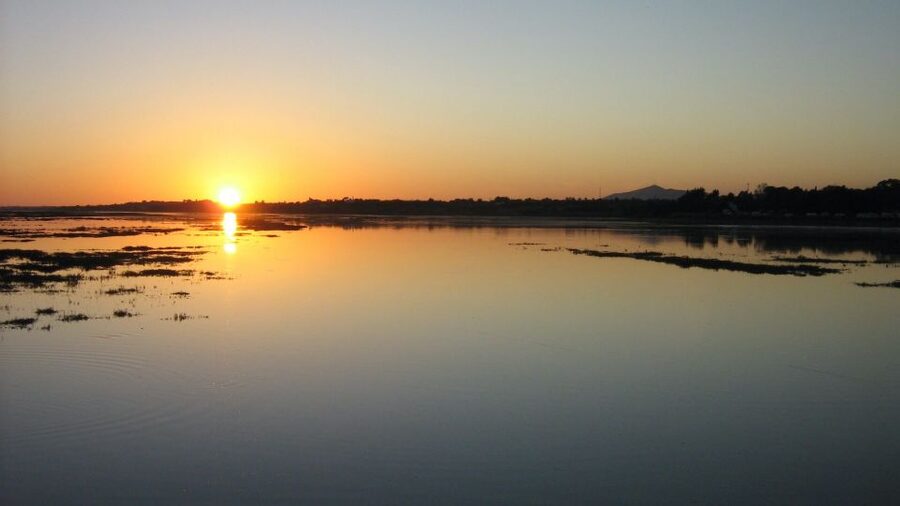 From Faro: Ria Formosa Sunset Boat Trip - Key Things to Know Before You Go