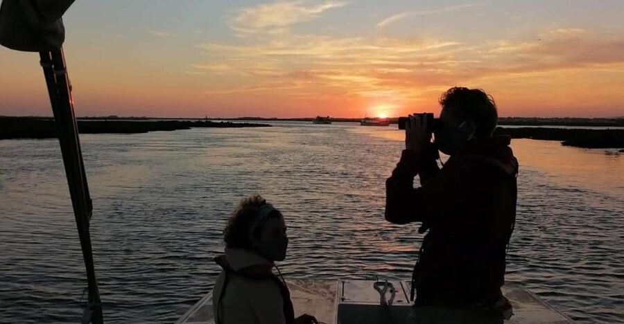 From Faro: Ria Formosa Sunset Boat Trip - Why the Ria Formosa Makes a Fine Sunset Setting