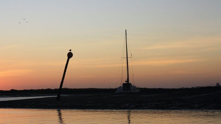 From Faro: Ria Formosa Sunset Boat Trip - What the Guides Add