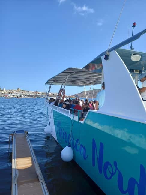 From Fornells: North Coast Beaches Cruise with Swim Stops - Who will enjoy this cruise most?
