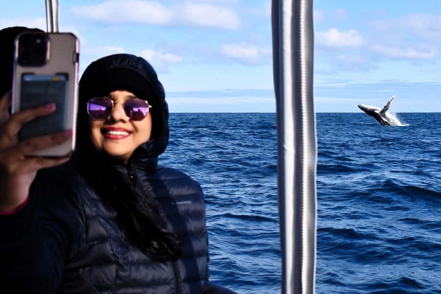 From Fremantle: 2-Hour Luxury Whale-Watching Cruise - Leaving Fremantle Fishing Boat Harbour