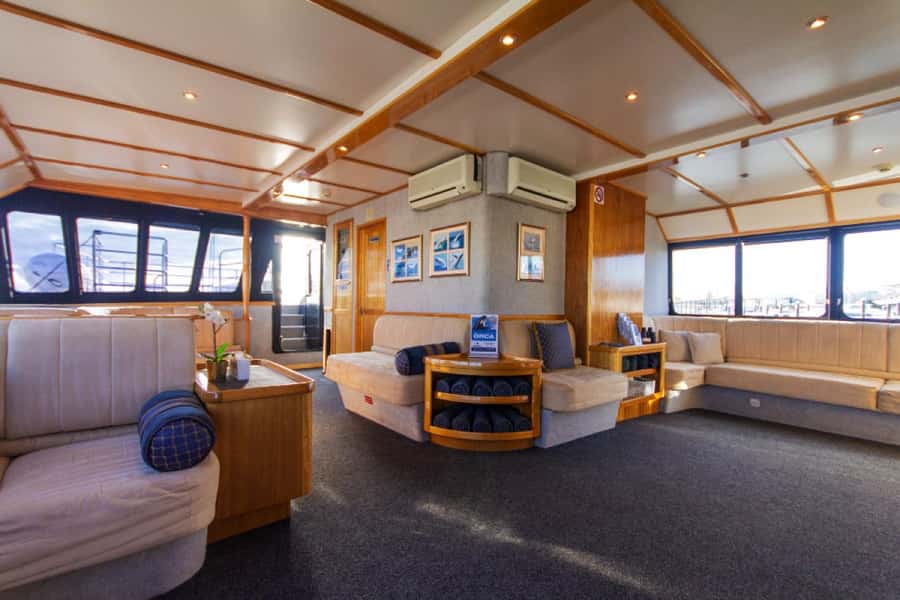 From Fremantle: 2-Hour Luxury Whale-Watching Cruise - A strong choice for families