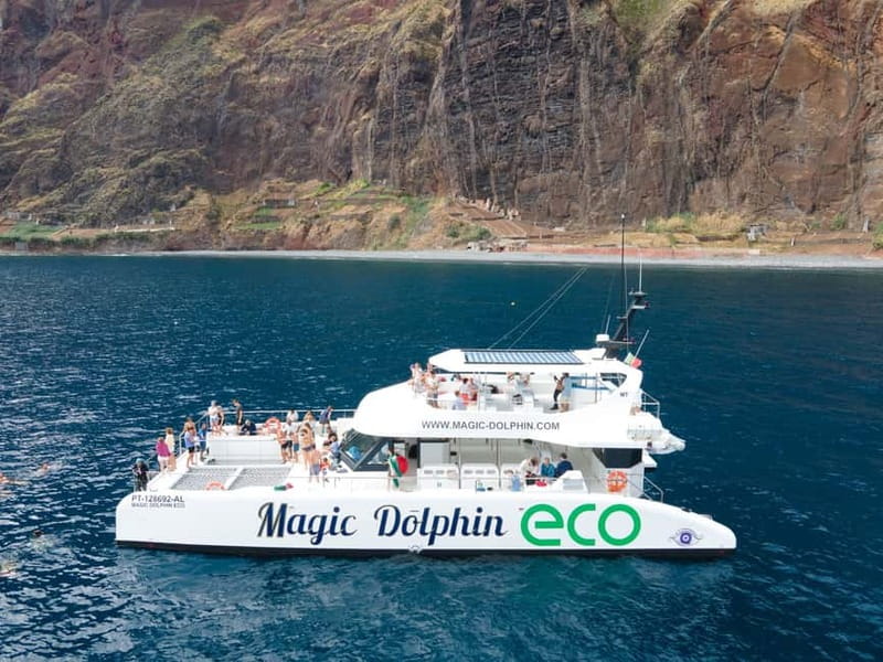 From Funchal: Ecological Catamaran Dolphin Whale Watching - Key points to know before you sail