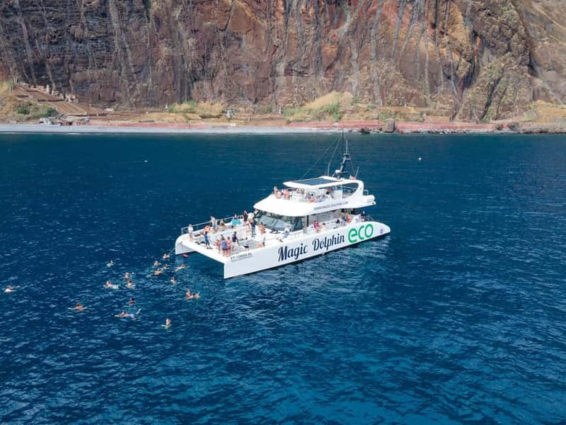 From Funchal: Ecological Catamaran Dolphin Whale Watching - Booking, cancellation, and access
