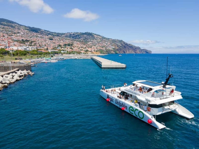 From Funchal: Ecological Catamaran Dolphin Whale Watching - Food, drinks, and small onboard details
