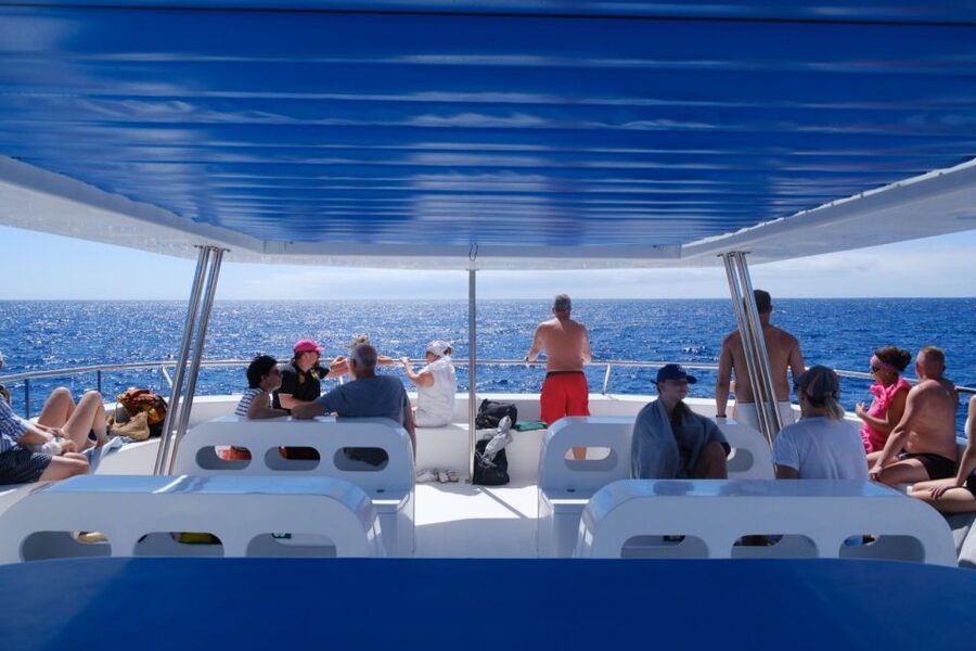 From Funchal: Ecological Catamaran Dolphin Whale Watching - Is $41 a fair price for three hours?