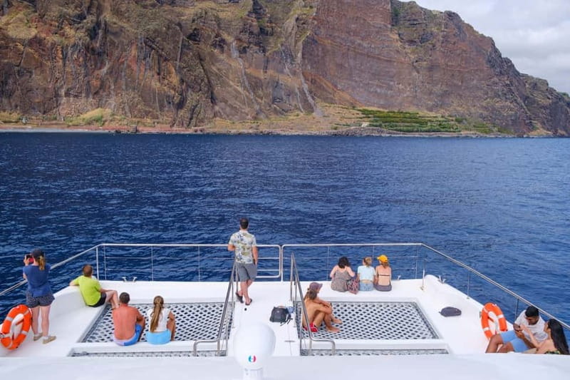 From Funchal: Ecological Catamaran Dolphin Whale Watching - Leaving Funchal Marina for open water