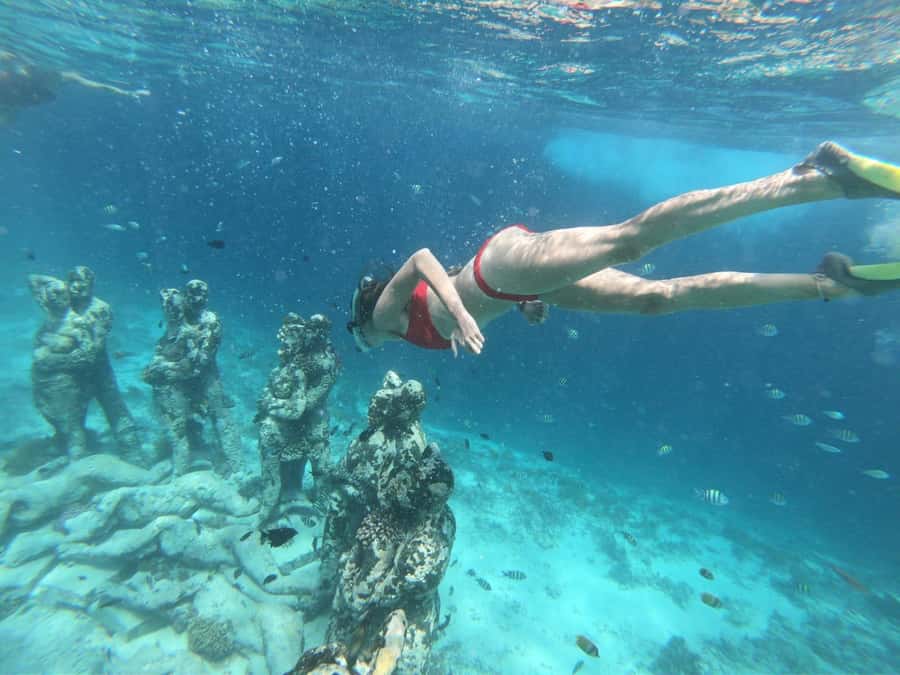 From Gili Air/Trawangan: Glass-Bottom Boat with Snorkeling - What the $47 price gets you on the Gili Islands
