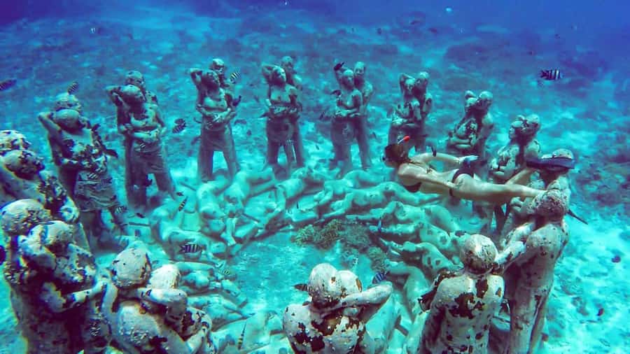 From Gili Air/Trawangan: Glass-Bottom Boat with Snorkeling - The Gili Meno stop gives you a needed break