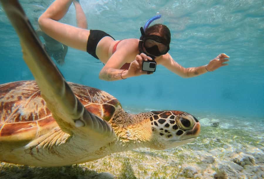 From Gili Trawangan: Gili Islands Snorkeling Boat Tour - What this Gili snorkeling trip is really about