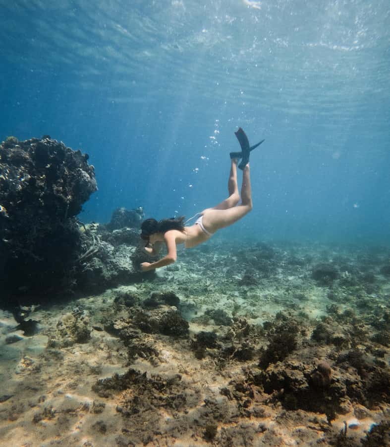 From Gili Trawangan: Gili Islands Snorkeling Boat Tour - The longer 5.5-hour choice and Gili Meno