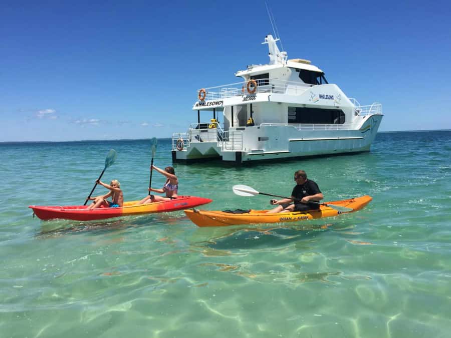 From Hervey Bay: Half-Day K'gari Fraser Island Beach Cruise - Safety without spoiling the fun