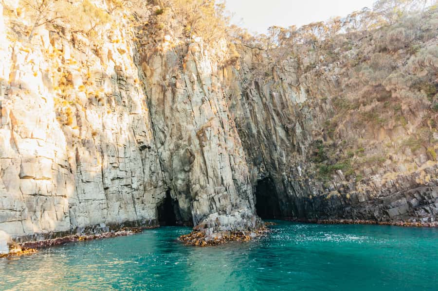 From Hobart/Adventure Bay: Bruny Island Wilderness Cruise - Bruny Island’s wild southern coast from the water
