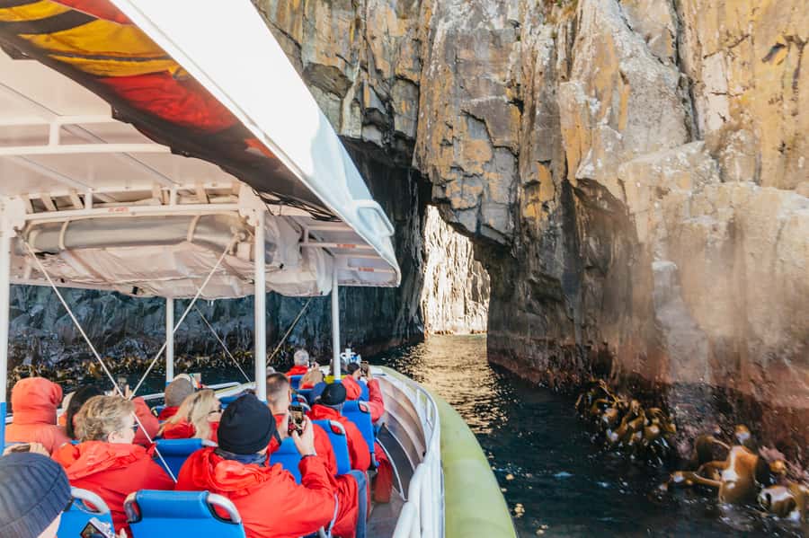 From Hobart/Adventure Bay: Bruny Island Wilderness Cruise - Choosing between Adventure Bay and Hobart